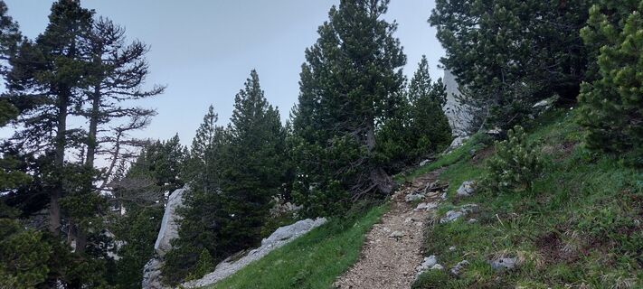 Zdjęcie z Peter Fasol wzdłuż trasy