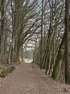 Foto de Hans Niedermeyer a lo largo del recorrido