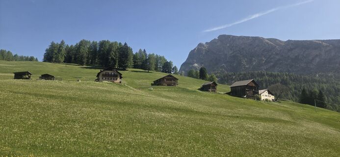 Fotografija s spletne strani Darija Forgač na poti