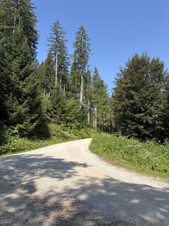 Foto von Heinz Sperl entlang der Tour