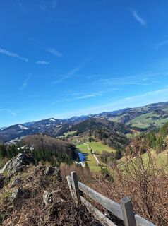 Photo de Mimi le long du parcours