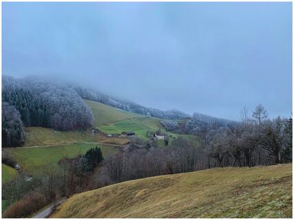 Foto von Leo Fahrngruber entlang der Tour