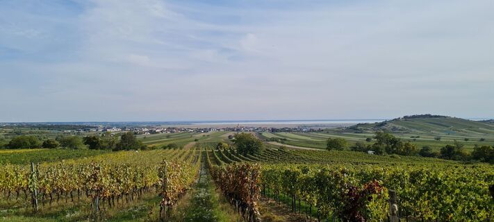 Fotografia z Tanjasusanna na trase