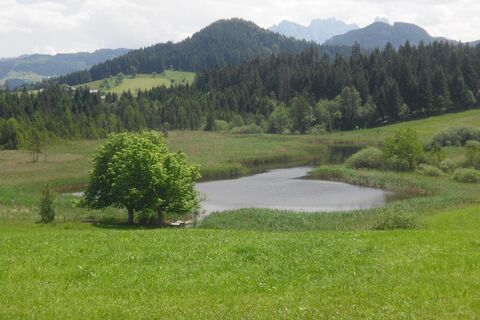 Mühlrain-Egelsee-Rundwanderweg