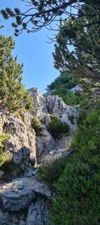 Foto van Martina Oitzinger langs de tour