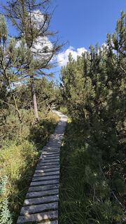 Photo de Richard Vlcek le long du parcours
