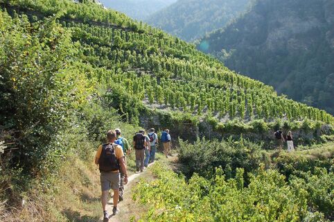 Wanderung auf dem höchstgelegenen Weinberg in Europa
