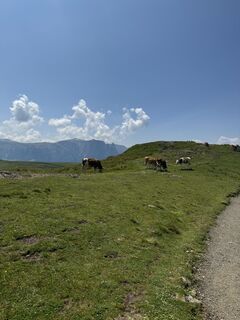 Foto von Florian Tautz entlang der Tour