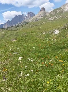 Photo de UlliDob le long du parcours