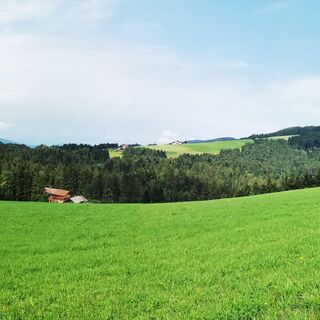 Aussicht auf Wiesen und Wälder