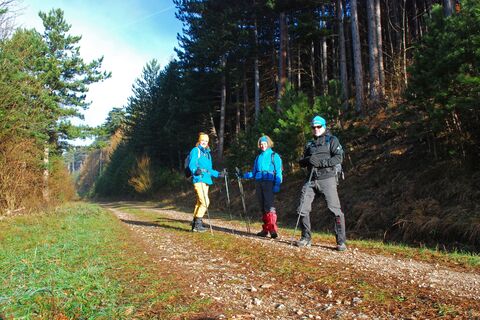 Mittagstein – Knofeleben – Wasserleitungsweg