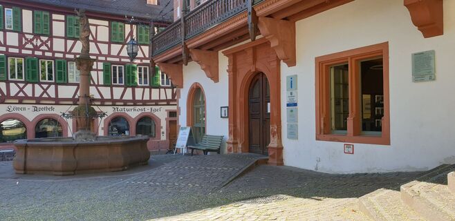 Weinheim_AltesRathausLoewenapotheke_Dorith-Floesser