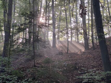 Photo de Tyler Lewis le long du parcours