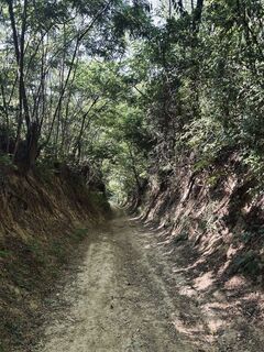 Zdjęcie z Hajnalka Balczár wzdłuż trasy