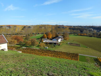 Weinberge südlich von Mundelsheim (von Kleiningersheim aus)