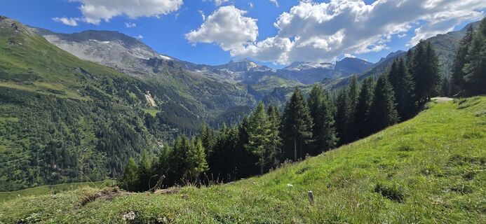 Fotografie z Istvan Szabo 2 na trase