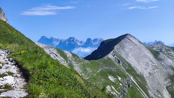 Zdjęcie z Ivana Kostic wzdłuż trasy