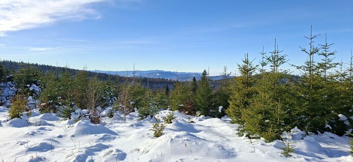 Fotografie z MIROB na trase