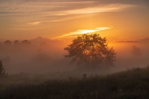 Sonnenaufgang Undeloh