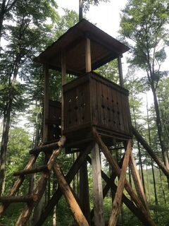 Fotografia z Kellner Heidi na trase