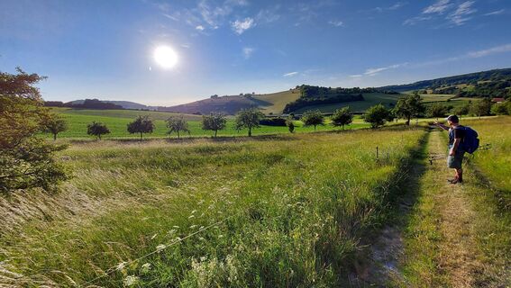 Fotografie z Wollomator na trase