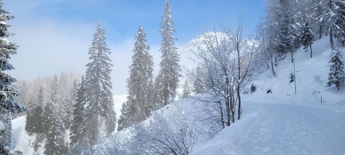 Fotografia z Nicky na trase