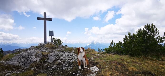 Foto från Klaus Lehner under resans gång