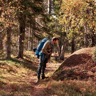 Wanderer auf dem Topsakantaival