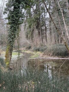 Foto de Moonlight13 a lo largo del recorrido