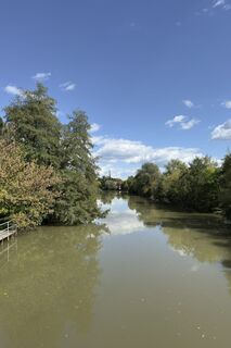 Foto från Armin H. under resans gång