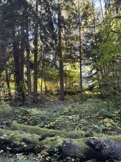 Foto von Georgiamartin0815 entlang der Tour