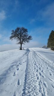 Fotografija s spletne strani dsundt na poti