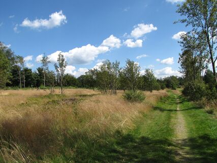 Bei Altastenberg