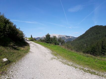 Blick von der Forststraße kurz vorm Rohrauerhaus auf das Warscheneck im Norden