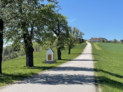 Foto von Martino68 entlang der Tour