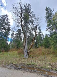 Fotografie z Christian Lerchster na trase