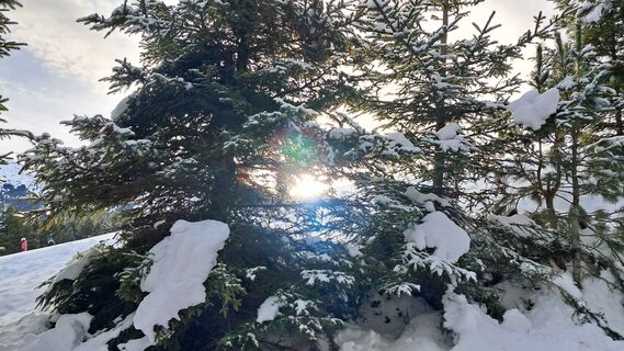 Foto de Urban Wille a lo largo del recorrido