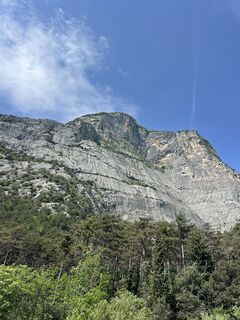 Photo de Heikoala le long du parcours