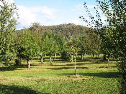 Hochzeitsbaumwiese