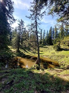Fotografie z Nathalie Hofer na trase