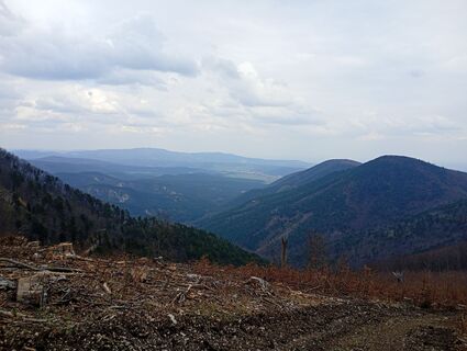 Fotografija s spletne strani Monika Jeskova na poti