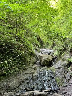 Fotografija s spletne strani Lili Bártfai na poti