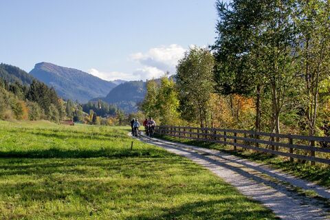 Wipptal-Radweg_Steinach_Herbst-2018c-Helena-Beermeister (1).jpg