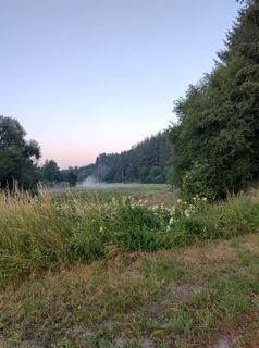 Fotografija s spletne strani Januar Y na poti