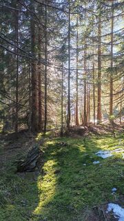 Foto von Joe Täschler entlang der Tour
