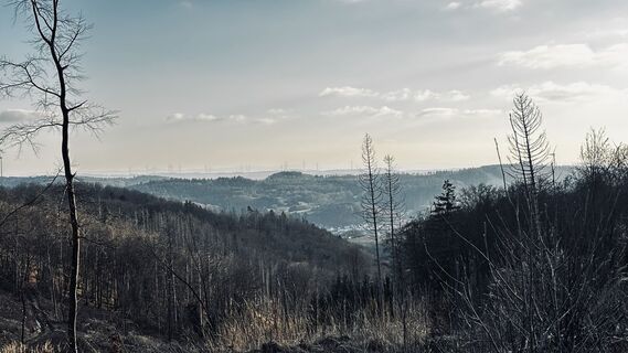 Foto von Klaus Tillmanns entlang der Tour
