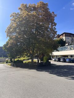 Fotografija s spletne strani Cyrill Bischof na poti