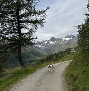Foto von Markus Müllrick entlang der Tour