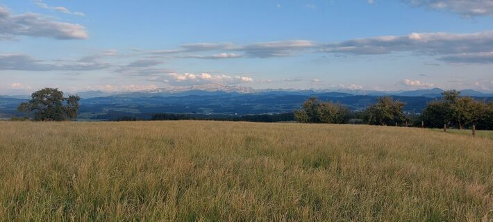 Fotografija s spletne strani brauni69 na poti