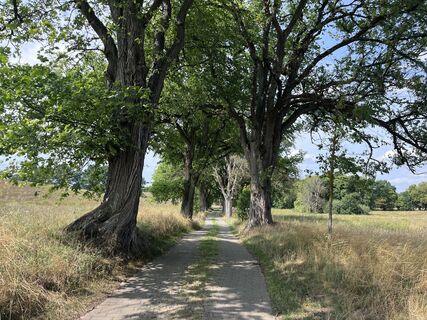 Foto von Carlos.Randow entlang der Tour